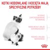 Royal Canin Mother & Babycat 34 dry cat food 0,4 kg Royal Canin Mother & Babycat 34 dry cat food 0,4 kg