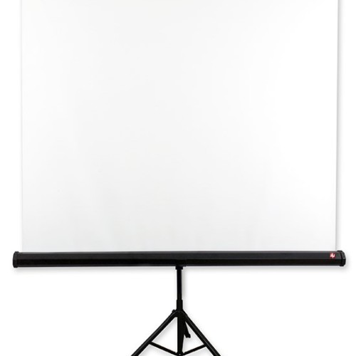 Avtek Tripod Standard 200 projection screen 1:1