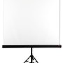 Avtek Tripod Standard 200 projection screen 1:1