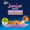 BRIT Care Fillets in Gravy duck fillets in sauce - wet cat food - 85 g