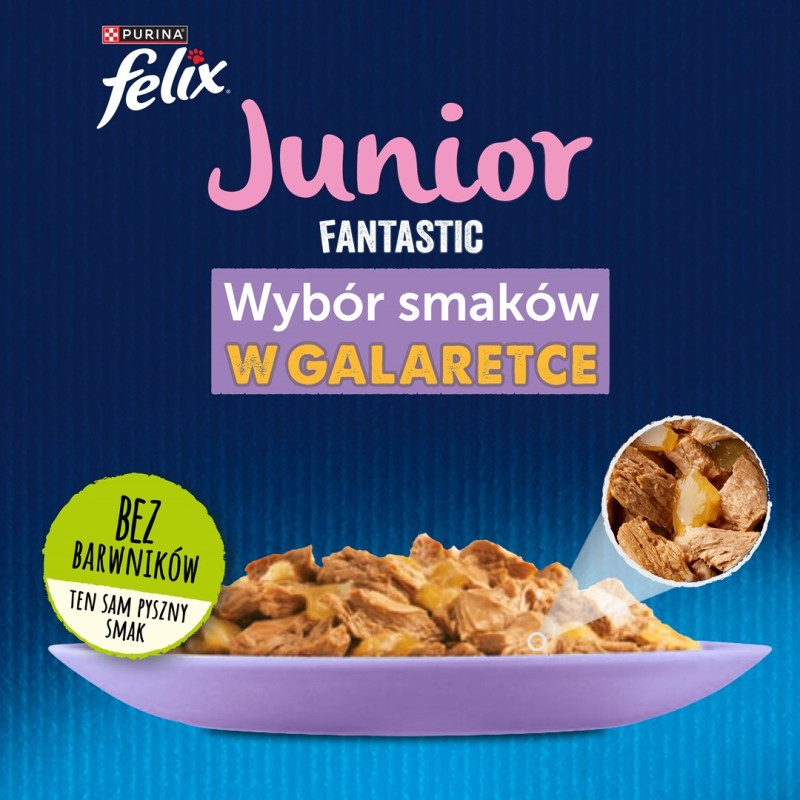 BRIT Care Fillets in Gravy duck fillets in sauce - wet cat food - 85 g BRIT Care Fillets in Gravy duck fillets in sauce - wet cat food - 85 g