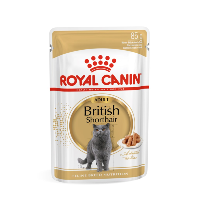 ROYAL CANIN British Shorthair packet 12x85g