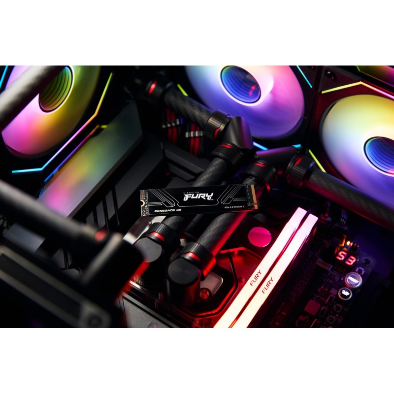 Kingston Technology 2T FURY RENEGADE G5 M.2 2280 NVMe SSD