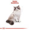ROYAL CANIN Ragdoll FBN Adult - dry cat food - 400g ROYAL CANIN Ragdoll FBN Adult - dry cat food - 400g
