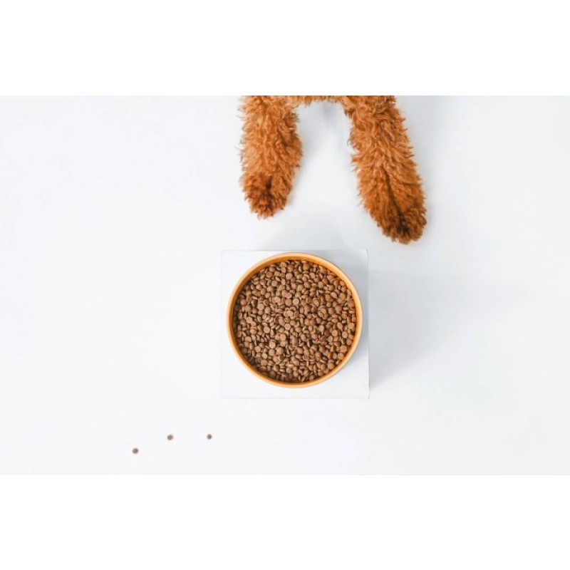 NATURE'S PROTECTION Superior Care Red Coat Adult Small breed Grain free Salmon - dry dog food - 10kg NATURE'S PROTECTION Superior Care Red Coat Adult Small breed Grain free Salmon - dry dog food - 10kg