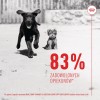 ROYAL CANIN Supplements Dog Immunity & Digest Puppy - dog vitamins - 100g