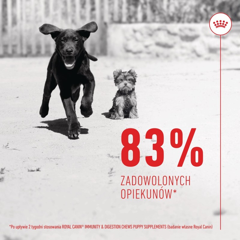 ROYAL CANIN Supplements Dog Immunity & Digest Puppy - dog vitamins - 100g ROYAL CANIN Supplements Dog Immunity & Digest Puppy - dog vitamins - 100g