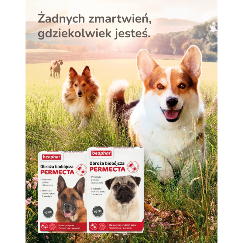 BOZITA Large Wheat free Salmon - dry food for large and long haired cats - 2kg BOZITA Large Wheat free Salmon - dry food for large and long haired cats - 2kg