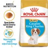 TRIXIE Eyewash for cats and dogs - 50 ml TRIXIE Eyewash for cats and dogs - 50 ml