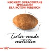 Royal Canin Persian cats dry food 4 kg Adult Maize, Poultry Royal Canin Persian cats dry food 4 kg Adult Maize, Poultry
