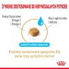 Royal Canin Yorkshire Ageing 8+ - dry food for older dogs - 3kg Royal Canin Yorkshire Ageing 8+ - dry food for older dogs - 3kg