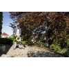 Kärcher BLV 36-240 Battery cordless leaf blower 240 km/h Black,Yellow 36 V Lithium-Ion (Li-Ion) Kärcher BLV 36-240 Battery cordless leaf blower 240 km/h Black,Yellow 36 V Lithium-Ion (Li-Ion)