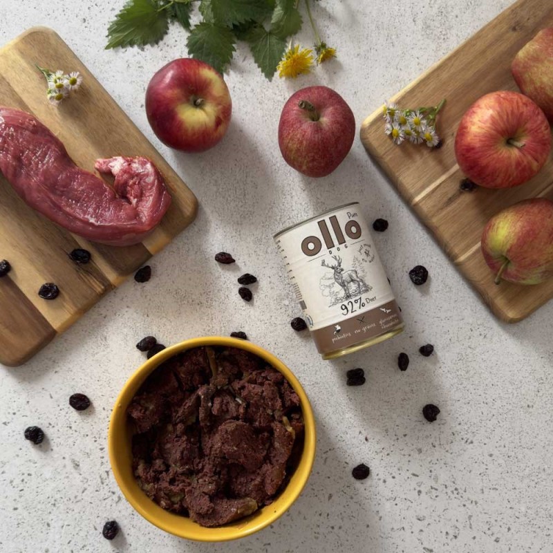 OLLO Pure Deer – wet dog food – 850 g