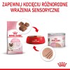 Royal Canin BABYCAT INSTINCTIVE - Wet cat food - 195 g Royal Canin BABYCAT INSTINCTIVE - Wet cat food - 195 g