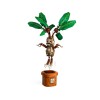 LEGO HARRY POTTER 76433 Mandrake