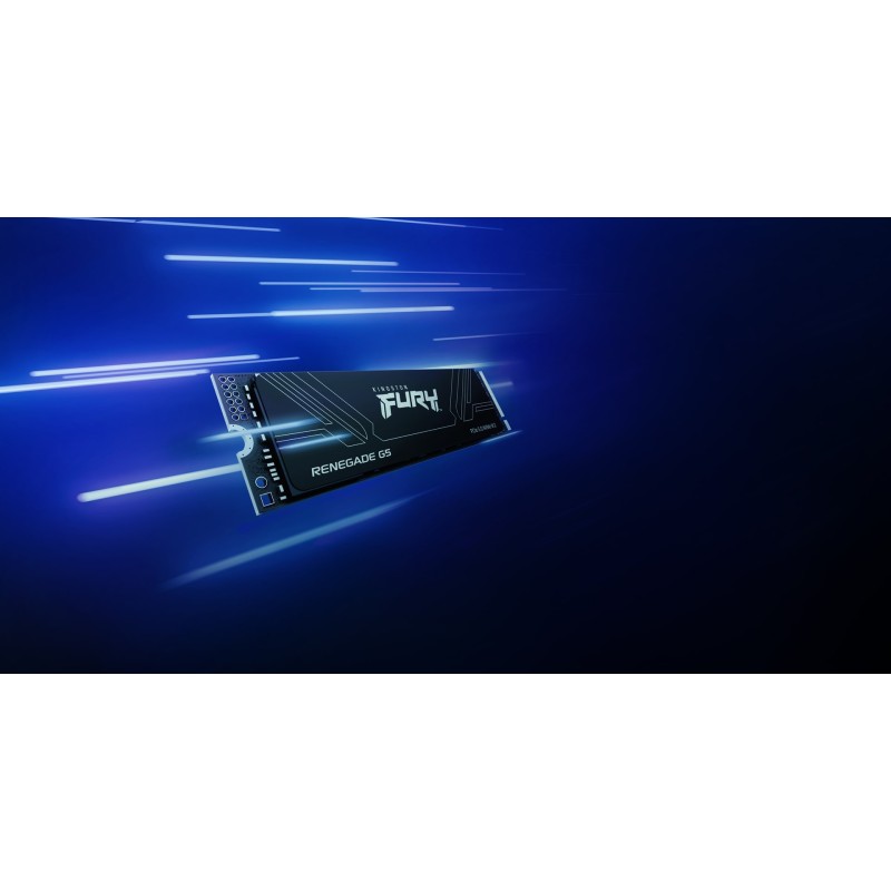 Kingston Technology 4T FURY RENEGADE G5 M.2 2280 NVMe SSD Kingston Technology 4T FURY RENEGADE G5 M.2 2280 NVMe SSD
