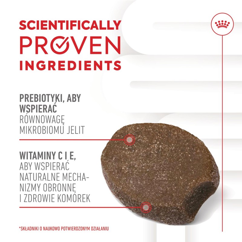 ROYAL CANIN Supplements Dog Immunity & Digest Puppy - dog vitamins - 100g ROYAL CANIN Supplements Dog Immunity & Digest Puppy - dog vitamins - 100g