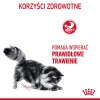 Royal Canin Digestive Care dry cat food Fish, Poultry, Rice, Vegetable 4 kg Royal Canin Digestive Care dry cat food Fish, Poultry, Rice, Vegetable 4 kg