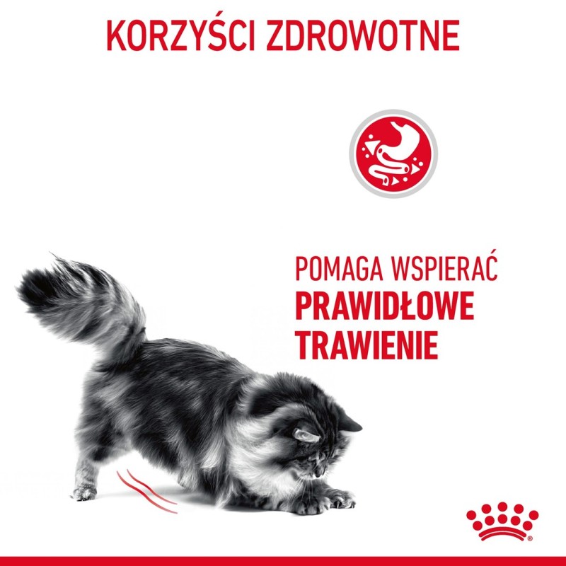 Royal Canin Digestive Care dry cat food Fish, Poultry, Rice, Vegetable 4 kg Royal Canin Digestive Care dry cat food Fish, Poultry, Rice, Vegetable 4 kg