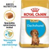 Food Royal Canin SHN Breed Dachshund Jun 1.5 kg Food Royal Canin SHN Breed Dachshund Jun 1.5 kg