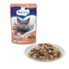 PREVITAL Salmon in gravy - wet cat food - 100g PREVITAL Salmon in gravy - wet cat food - 100g