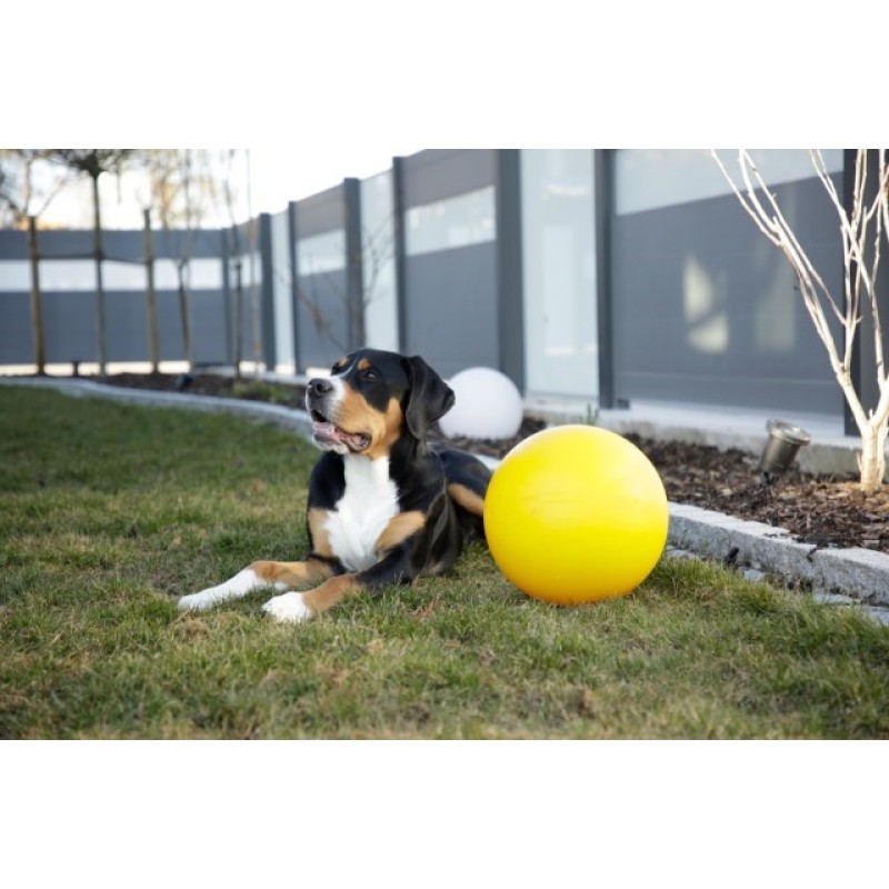 KERBL Durable, Large Interactive, Floating Ball - Dog Toy - 30 cm KERBL Durable, Large Interactive, Floating Ball - Dog Toy - 30 cm