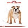 ROYAL CANIN Bulldog Adult - dry dog food - 12 kg ROYAL CANIN Bulldog Adult - dry dog food - 12 kg