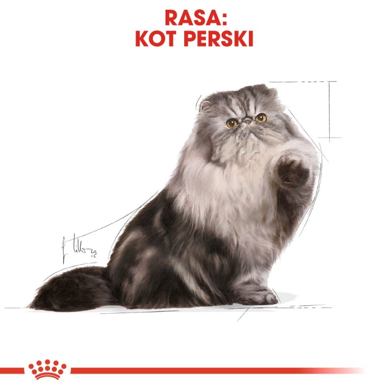 Royal Canin Persian cats dry food 4 kg Adult Maize, Poultry Royal Canin Persian cats dry food 4 kg Adult Maize, Poultry