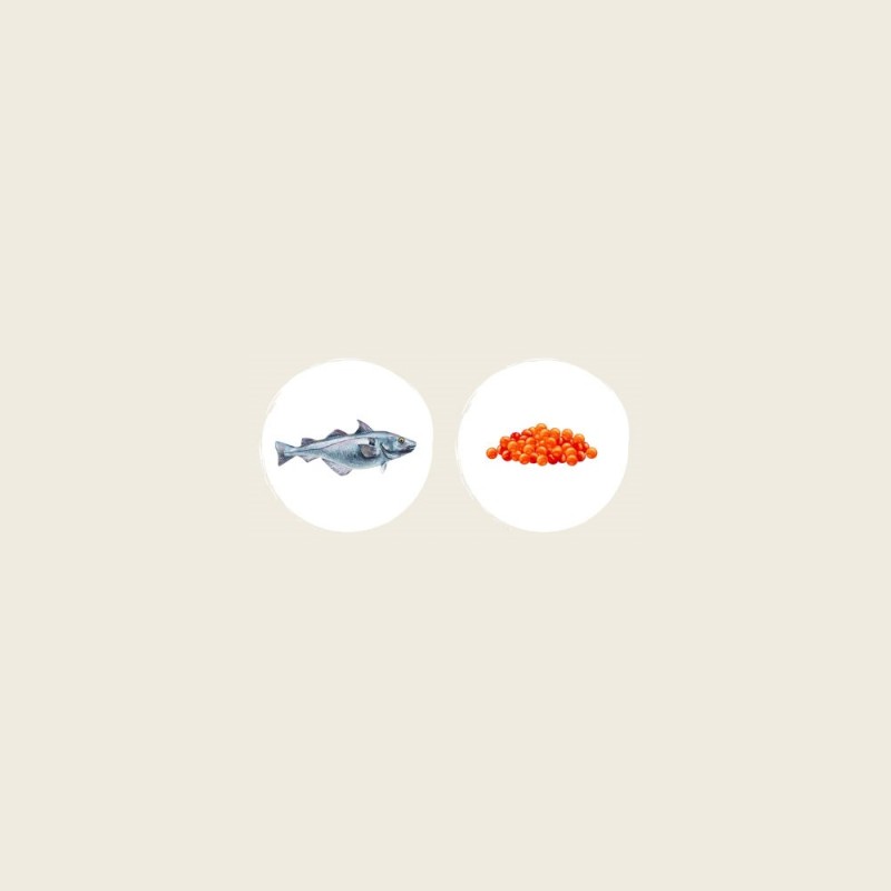 EDEN White Fish with Herring Caviar - dry cat food - 1.5 kg EDEN White Fish with Herring Caviar - dry cat food - 1.5 kg