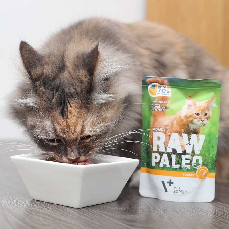 RAW PALEO Adult Cat Turkey - wet cat food - 100 g RAW PALEO Adult Cat Turkey - wet cat food - 100 g