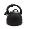 Maestro MR-1325 non-electric kettle