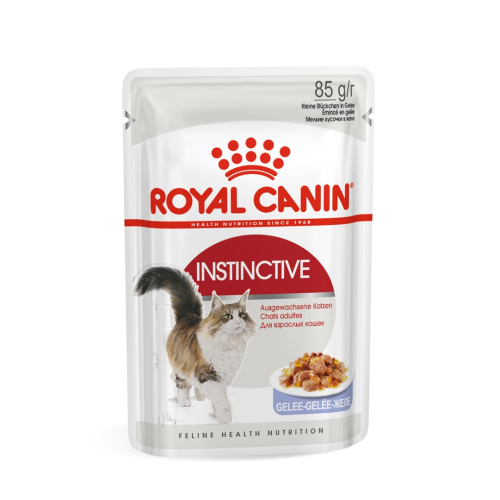 ROYAL CANIN FHN Instinctive in jelly - wet food for adult cats - 12x85g