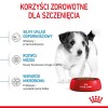 ROYAL CANIN Mini Puppy SHN - dry dog food - 2 kg