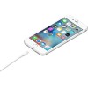 Apple Lightning to USB Cable (1В m) Apple Lightning to USB Cable (1В m)