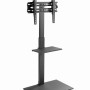 Gembird TVS-55T-02 TV floor stand, 32
