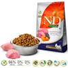 Farmina Pet Food LAMB & BLUEBERRY ADULT MINI Farmina Pet Food LAMB & BLUEBERRY ADULT MINI
