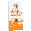 IAMS for Vitality Adult Large Breed - dry dog ​​food - 12 kg