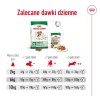 ROYAL CANIN Mini Ageing Adult +12 - dry dog food - 3,5 kg ROYAL CANIN Mini Ageing Adult +12 - dry dog food - 3,5 kg