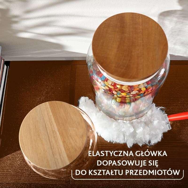 Vileda dustpan with short handle + 2 Flex&Catch refills