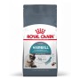 Royal Canin Hairball Care dry cat food 2 kg