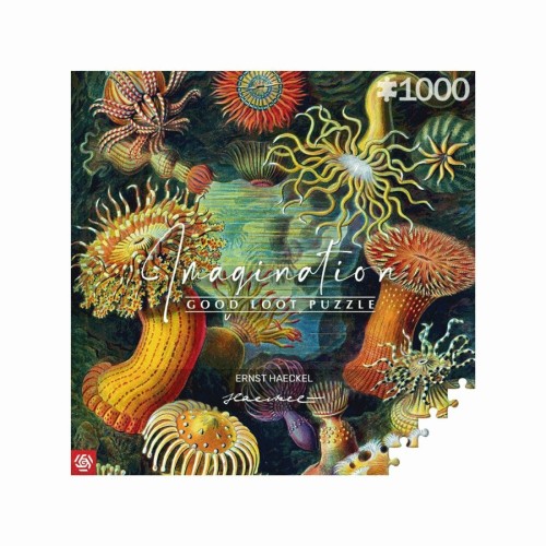 Imagination Puzzle: Ernst Haeckel Sea Creatures 1000 elements Imagination Puzzle: Ernst Haeckel Sea Creatures 1000 elements