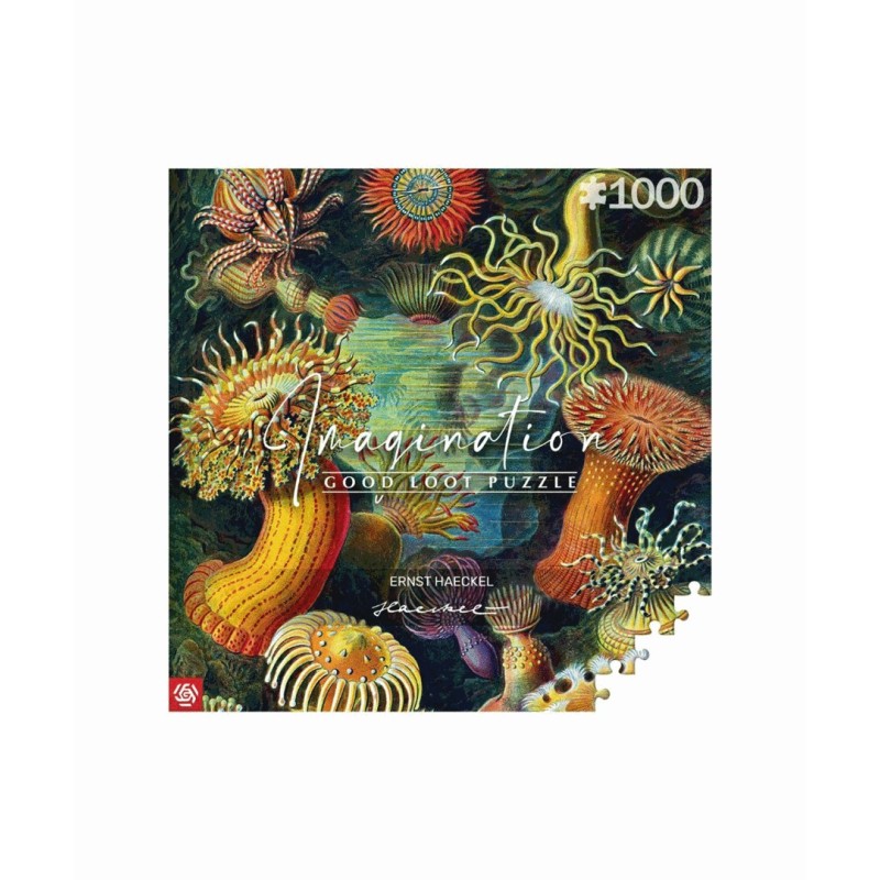 Imagination Puzzle: Ernst Haeckel Sea Creatures 1000 elements