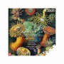 Imagination Puzzle: Ernst Haeckel Sea Creatures 1000 elements