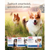 CARNILOVE Fresh Crunchy Salmon+Blueberry dog treat - 200 g