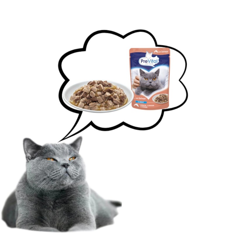 PREVITAL Salmon in gravy - wet cat food - 100g PREVITAL Salmon in gravy - wet cat food - 100g