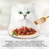 Purina 7613032947972 cats moist food 85 g