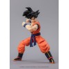 DRAGON BALL SUPER EVOLVE - SON GOKU DRAGON BALL SUPER EVOLVE - SON GOKU