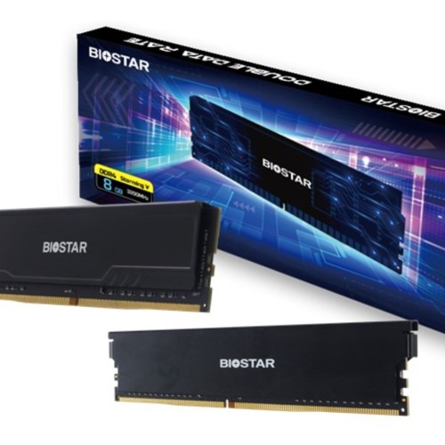 Biostar DDR4 Storming V memory module 8 GB 1 x 8 GB 3200 MHz (DX32NU4H08)