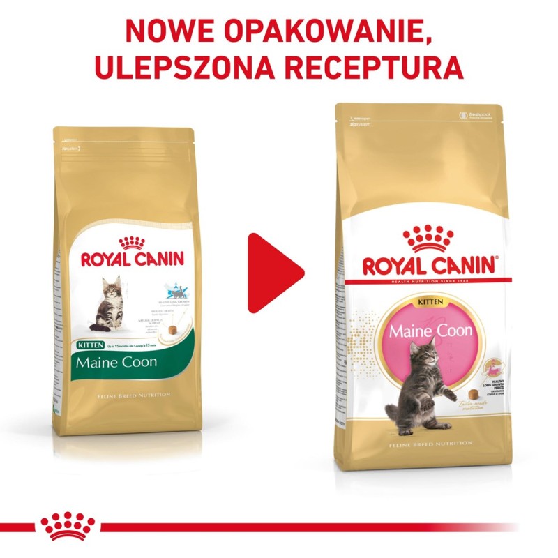 ROYAL CANIN Maine Coon Kitten - dry cat food - 2 kg ROYAL CANIN Maine Coon Kitten - dry cat food - 2 kg