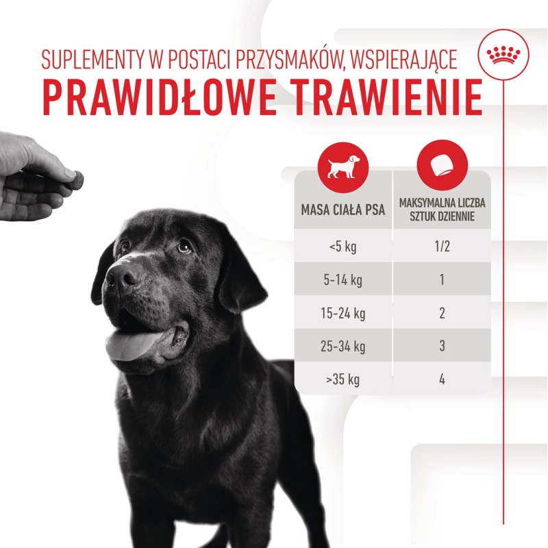 BULT Jelito cienkie wieprzowe dla psa 100g BULT Jelito cienkie wieprzowe dla psa 100g